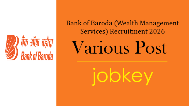 Bank of Baroda Professional Various Post Online Form 2026-jobkey